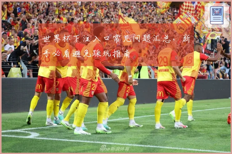 世界杯下注入口常见问题汇总，新手必看避免踩坑指南