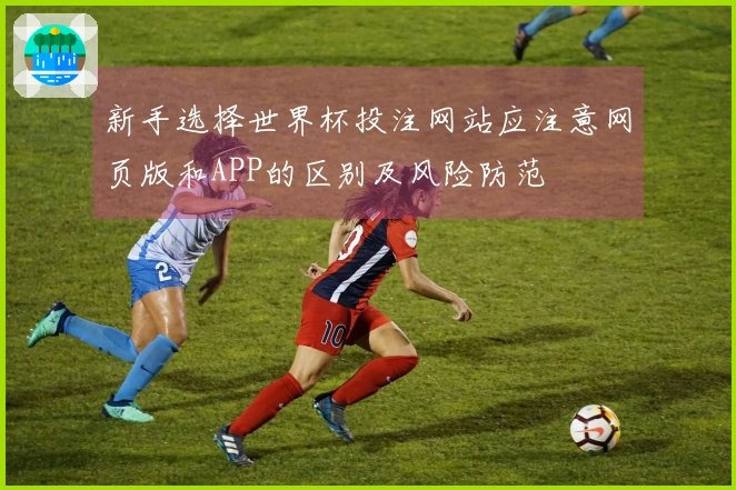 新手选择世界杯投注网站应注意网页版和APP的区别及风险防范