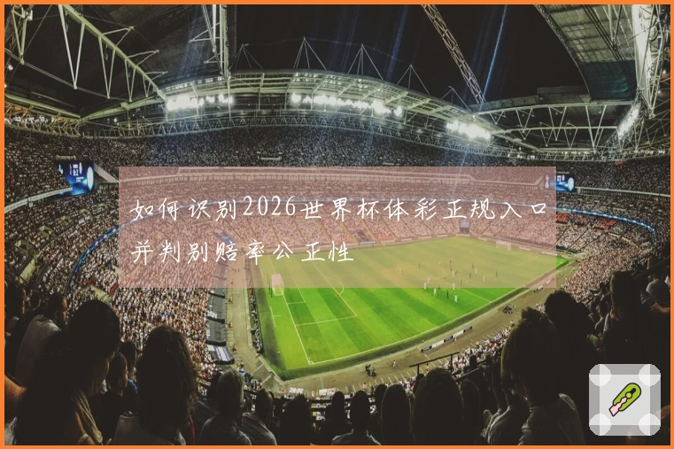 如何识别2026世界杯体彩正规入口并判别赔率公正性