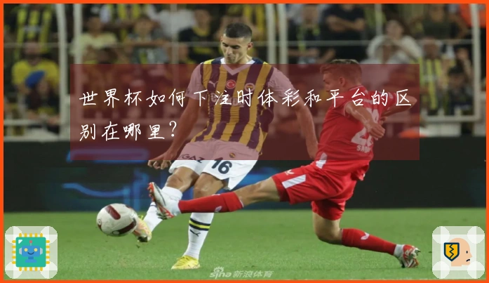 世界杯如何下注时体彩和平台的区别在哪里？