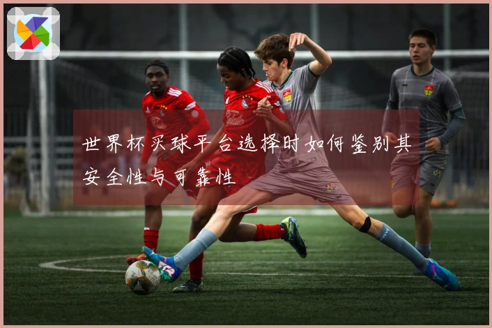 世界杯买球平台选择时如何鉴别其安全性与可靠性
