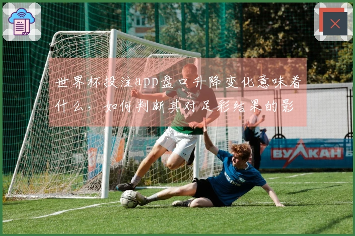 世界杯投注app盘口升降变化意味着什么，如何判断其对足彩结果的影响？
