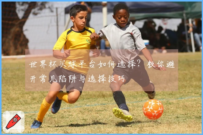 世界杯买球平台如何选择？教你避开常见陷阱与选择技巧
