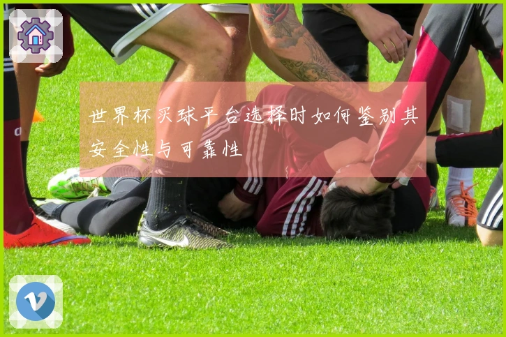 世界杯买球平台选择时如何鉴别其安全性与可靠性