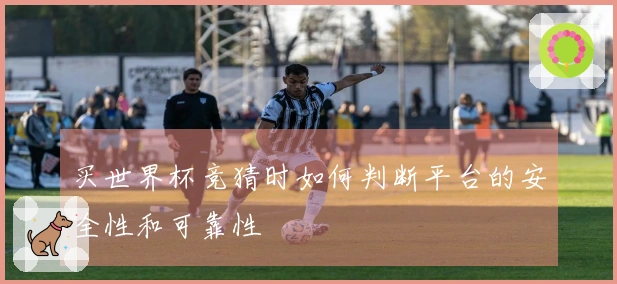 买世界杯竞猜时如何判断平台的安全性和可靠性