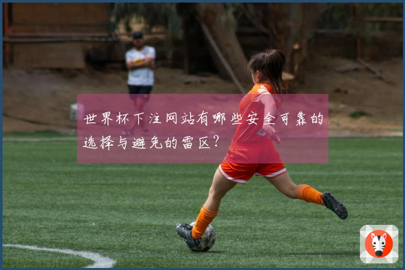 世界杯下注网站有哪些安全可靠的选择与避免的雷区？