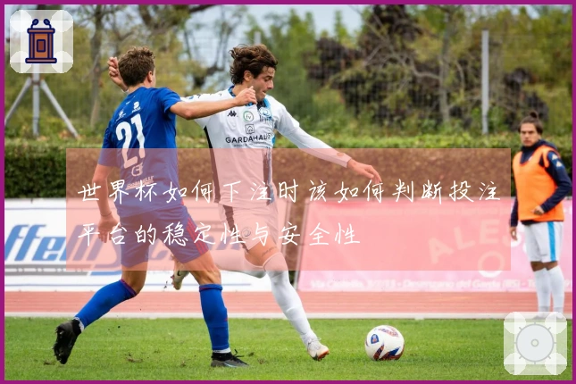 世界杯如何下注时该如何判断投注平台的稳定性与安全性