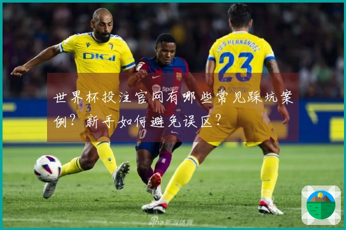 世界杯投注官网有哪些常见踩坑案例？新手如何避免误区？