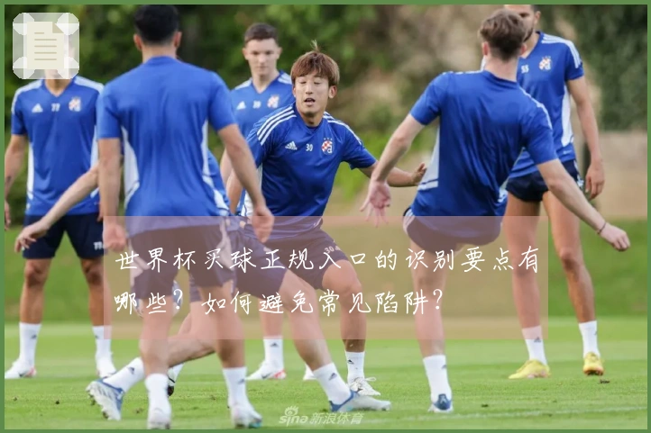 世界杯买球正规入口的识别要点有哪些？如何避免常见陷阱？