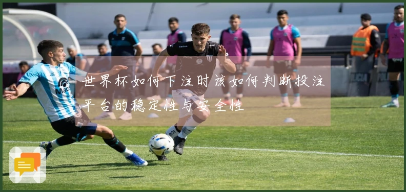 世界杯如何下注时该如何判断投注平台的稳定性与安全性