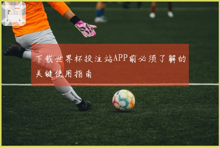 下载世界杯投注站APP前必须了解的关键使用指南