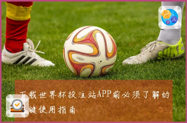 下载世界杯投注站APP前必须了解的关键使用指南