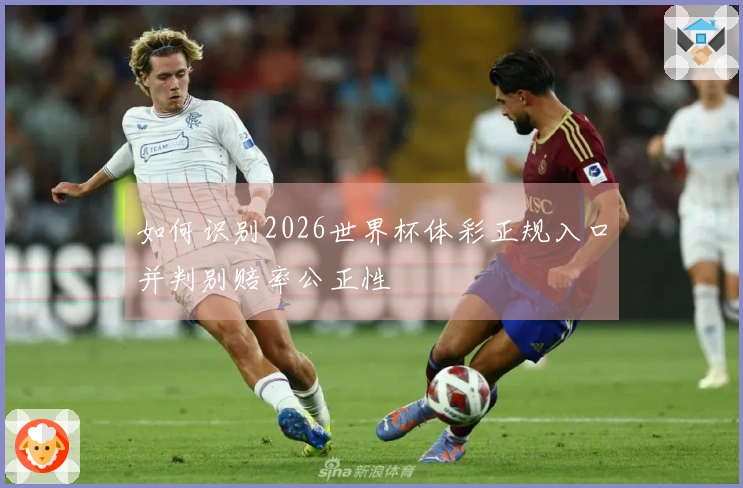 如何识别2026世界杯体彩正规入口并判别赔率公正性