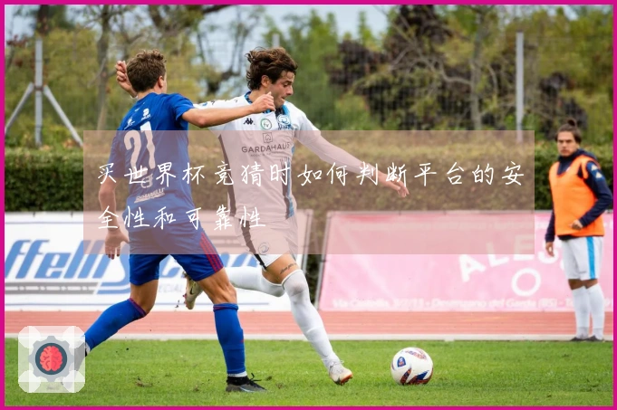 买世界杯竞猜时如何判断平台的安全性和可靠性